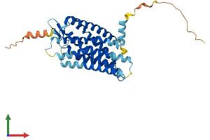 Protein Structure (PS) image for G Protein-Coupled Receptor 17 (GPR17) (AA 1-339) protein (His tag) (ABIN7557947)