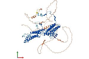 AlphaFold protein structure predicition of Mouse Recombinant Best3 Protein, UniprotID Q6H1V1