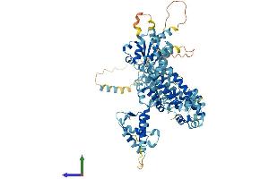 AlphaFold protein structure predicition of Human Recombinant ORC3 Protein, UniprotID Q9UBD5 (ORC3 Protein (AA 1-711) (His tag))