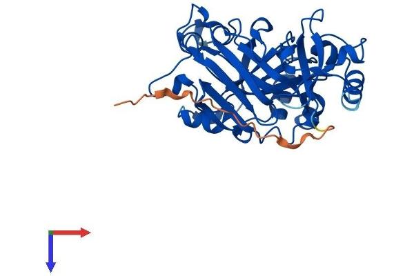 FAHD2A Protein (AA 1-314) (His tag)