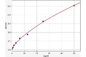 Lipoprotein Lipase (LPL) ELISA Kit