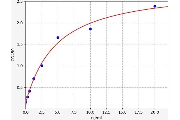 ACTN2 ELISA Kit