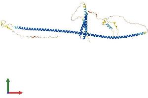 Protein Structure (PS) image for Centrosomal Protein 57kDa (CEP57) (AA 1-500) protein (His tag) (ABIN7553351)