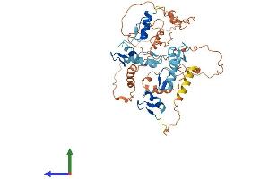 Protein Structure (PS) image for FEZ Family Zinc Finger 2 (FEZF2) (AA 1-459) protein (His tag) (ABIN7547632)