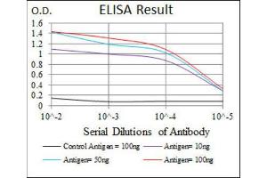 ELISA image for anti-Myogenic Factor 6 (MYF6) (AA 85-150) antibody (ABIN1845795) (MYF6 Antikörper  (AA 85-150))