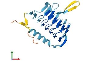 Protein Structure (PS) image for Dynactin 5 (p25) (DCTN5) (AA 1-182) protein (His tag) (ABIN7546980)