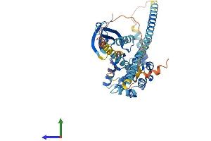 Protein Structure (PS) image for NIMA (Never in Mitosis Gene A)-Related Kinase 2 (NEK2) (AA 1-443) protein (His tag) (ABIN7562391)