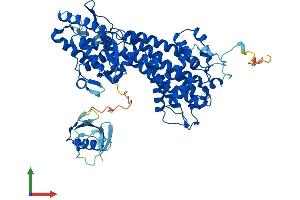 Protein Structure (PS) image for Histidine Ammonia-Lyase (HAL) (AA 1-657) protein (His tag) (ABIN7548393)