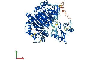 Protein Structure (PS) image for Acyl-CoA Synthetase Short-Chain Family Member 2 (ACSS2) (AA 1-701) protein (His tag) (ABIN7561747)