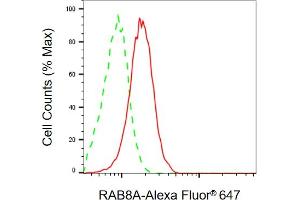 Flow cytometric analysis of RAB8A expression in HepG2 cells using RAB8A antibody (ABIN7800106), 1:2,000). (RAB8A Antikörper)
