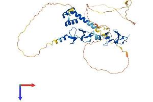 LHX5 Protein (AA 1-402) (His tag)