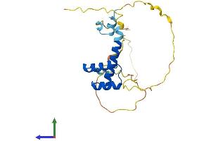 Protein Structure (PS) image for Goosecoid Homeobox 2 (GSC2) (AA 1-205) protein (His tag) (ABIN7548210)