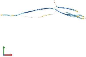 Protein Structure (PS) image for Cytoskeleton-Associated Protein 4 (CKAP4) (AA 1-602) protein (His tag) (ABIN7546585)