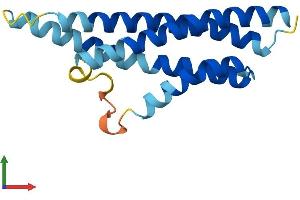 Protein Structure (PS) image for Cornichon Homolog 3 (CNIH3) (AA 1-160) protein (His tag) (ABIN7558148)