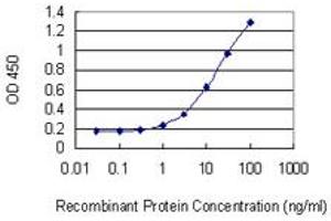 Detection limit for recombinant GST tagged GAGE5 is 0. (G Antigen 5 Antikörper  (AA 28-117))
