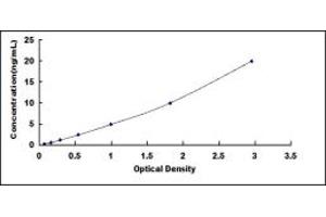 Typical standard curve (DDOST ELISA Kit)