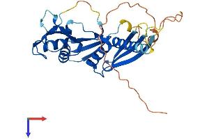 RDM1 Protein (AA 1-281) (His tag)
