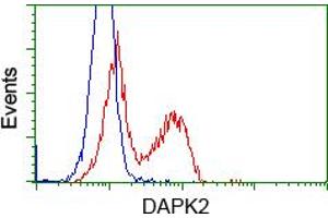 HEK293T cells transfected with either pCMV6-ENTRY DAPK2 (RC216274) (Red) or empty vector control plasmid (Blue) were immunostained with anti-DAPK2 mouse monoclonal (ABIN2452941), and then analyzed by flow cytometry. (DAPK2 Antikörper)