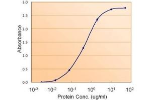 Image no. 3 for anti-Fumarate Hydratase (FH) (Internal Region) antibody (ABIN374767) (FH Antikörper  (Internal Region))