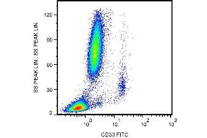 Surface staining of human peripheral blood with anti-CD33 (WM53) FITC. (CD33 Antikörper  (FITC))