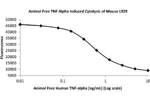 SDS-PAGE (SDS) image for Tumor Necrosis Factor alpha (TNF alpha) protein (ABIN6700750)