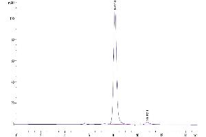 The purity of Human PLA2G1B is greater than 95 % as determined by SEC-HPLC. (PLA2G1B Protein (AA 23-148) (Fc Tag))