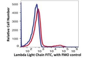 Flow Cytometry (FACS) image for anti-lambda Light Chain (Lambda-IgLC) antibody (FITC) (ABIN6253021) (Lambda-IgLC Antikörper  (FITC))