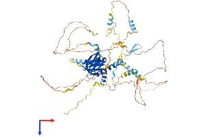NUMB Protein (AA 1-653) (His tag)