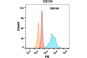 CD155 protein is highly expressed on the surface of Expi293 cell membrane. (Poliovirus Receptor Antikörper  (AA 21-343))