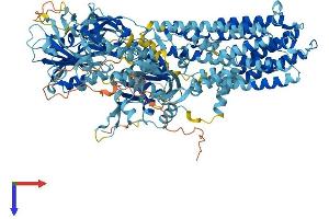 ATP13A2 Protein (AA 1-1169) (His tag)