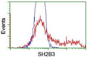 HEK293T cells transfected with either RC218359 overexpress plasmid (Red) or empty vector control plasmid (Blue) were immunostained by anti-SH2B3 antibody (ABIN2454461), and then analyzed by flow cytometry. (SH2B3 Antikörper)