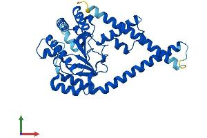 Protein Structure (PS) image for Dehydrodolichyl Diphosphate Synthase (DHDDS) (AA 1-333) protein (His tag) (ABIN7560347)