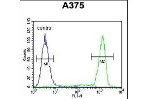 TCPR1 Antibody (N-term) (ABIN390828 and ABIN2841056) flow cytometric analysis of  cells (right histogram) compared to a negative control cell (left histogram). (TECPR1 Antikörper  (N-Term))