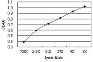 Sandwich ELISA detection sensitivity ranging from approximately 243x to 3x dilution of the RPS6KB2 293T overexpression lysate (non-denatured). (RPS6KB2 (Human) Matched Antibody Pair)