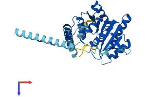 ALG5 Protein (AA 1-324) (His tag)