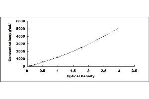 Typical standard curve (SERPINB3 ELISA Kit)