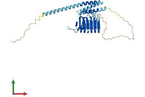 Protein Structure (PS) image for Tubulin Folding Cofactor C (TBCC) (AA 1-346) protein (His tag) (ABIN7544358)