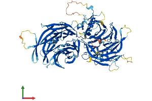 Protein Structure (PS) image for Elongator Acetyltransferase Complex Subunit 2 (ELP2) (AA 1-831) protein (His tag) (ABIN7564800)