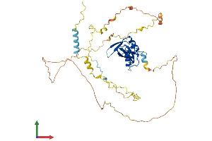Protein Structure (PS) image for B-Cell Linker (BLNK) (AA 1-456) protein (His tag) (ABIN7552810)