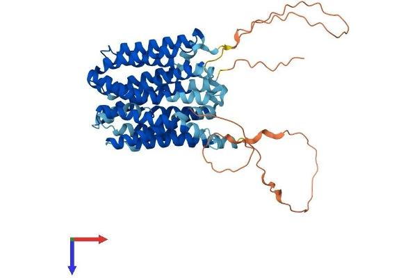 MCT3 Protein (AA 1-504) (His tag)