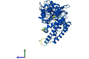 Protein Structure (PS) image for Cytochrome P450, Family 17, Subfamily A, Polypeptide 1 (CYP17A1) (AA 1-507) protein (His tag) (ABIN7563031)