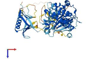AKT1 Protein (AA 1-480) (His tag)