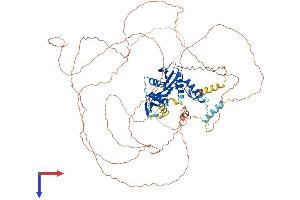 ESCO1 Protein (AA 1-843) (His tag)
