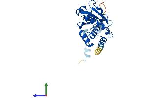 Protein Structure (PS) image for Dual Specificity Phosphatase 19 (DUSP19) (AA 1-217) protein (His tag) (ABIN7547195)