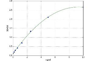 CD48 (CD48) ELISA Kit