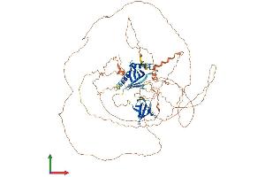 Protein Structure (PS) image for C-Jun-Amino-Terminal Kinase-Interacting Protein 2 (JIP-2) (AA 1-824) protein (His tag) (ABIN7554275)