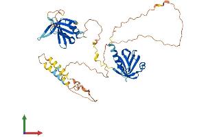 Protein Structure (PS) image for Docking Protein 3 (DOK3) (AA 1-444) protein (His tag) (ABIN7561831)