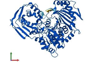 Protein Structure (PS) image for Phosphoglucomutase 1 (PGM1) (AA 1-562) protein (His tag) (ABIN7560834)