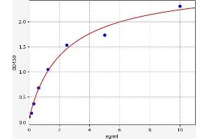 BCMA ELISA Kit