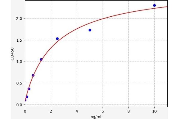 BCMA ELISA Kit